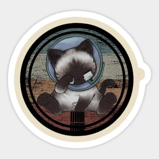 Cat Crying Sticker